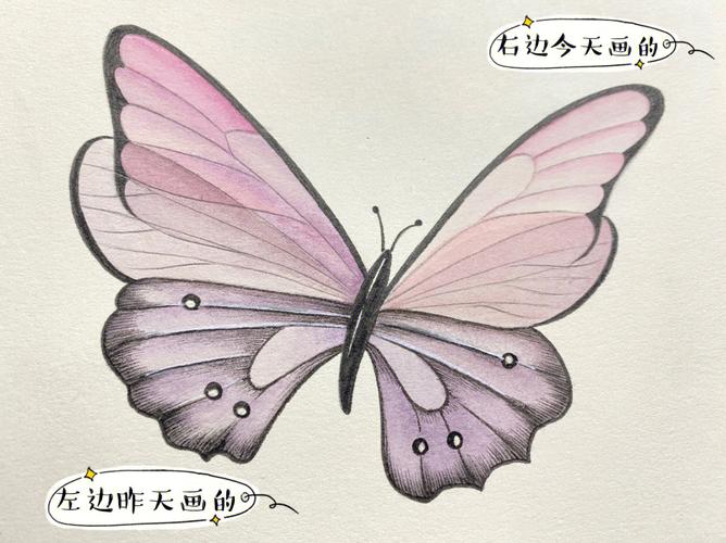 画蝴蝶怎么画漂亮