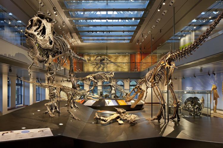 世界活化石博物馆的相关图片