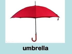 伞的英文单词的相关图片