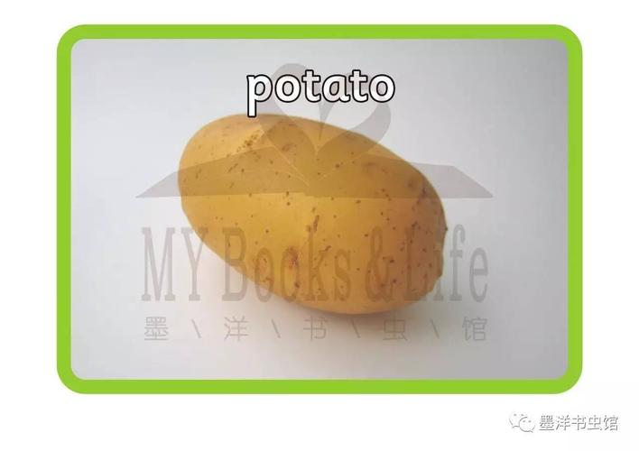 土豆的英语的相关图片