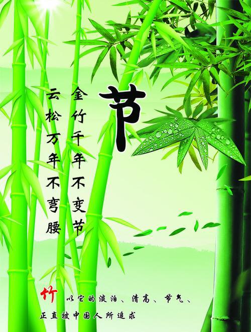 竹子有什么品质的相关图片
